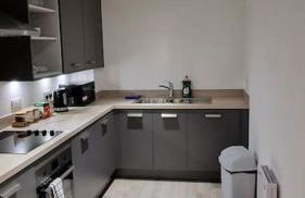 Modern Stylish Apartment in Birmingham - Foto 15