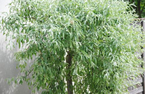 Glück Auf im Pott - Foto 1