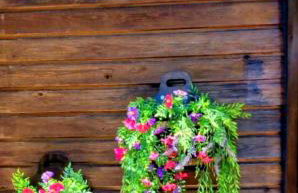 Yard of Panos - Foto 1