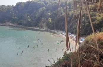 The Little House - Foto 29