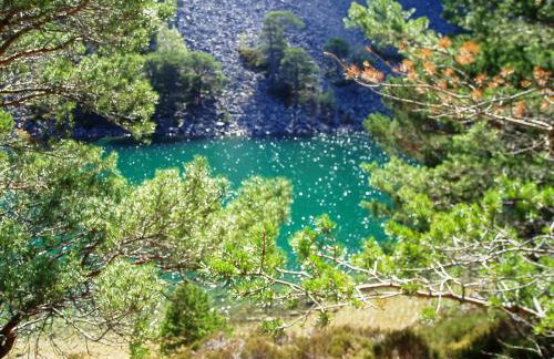 Heath Cottage - Foto 25