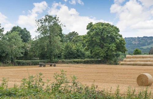 Bears Court Barn 3 - Foto 38