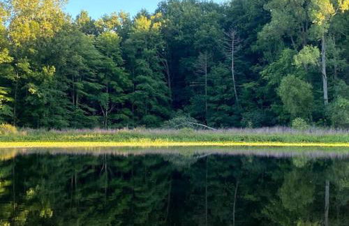 Chelsea Lake House, Game Room, & Pontoon-rental - Foto 37