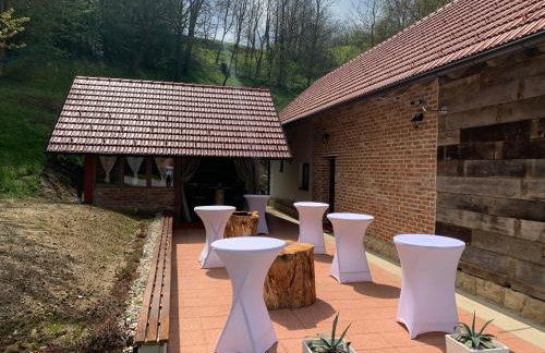 Vila Countryhouse Pijevci - Foto 12