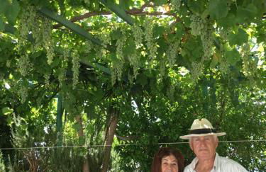 Patmos Villas - Foto 1