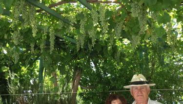 Patmos Villas - Foto 1, Garden