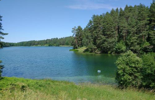 Wigierska Chatka - Foto 71