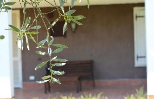 Il colle degli olivi - Foto 15