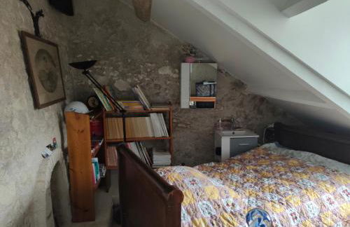 La Maison Bleue de Husseau Ancienne ferme semi-troglodytique 18e siècle - Foto 27