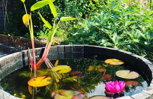 Eiderperle - Foto 56