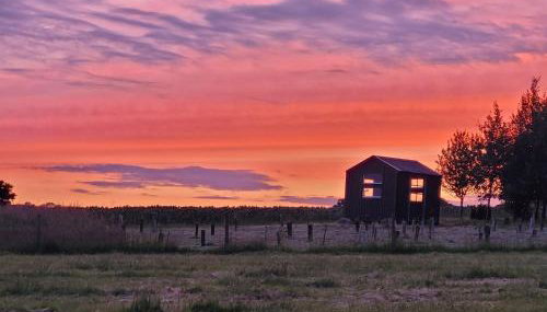 Luccombe Farm Holiday Cottages - Foto 2