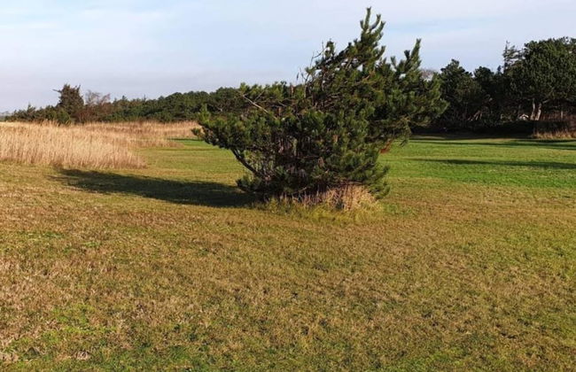 6 Person Holiday Home in Gorlev - Foto 17