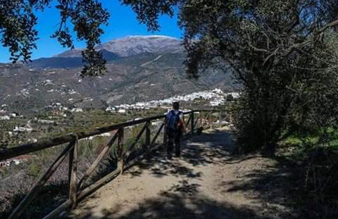 Finca el Almendro Archez - Foto 46