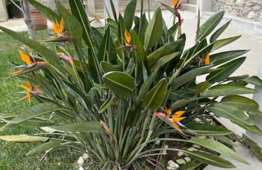 Villa Evanthia - Foto 40