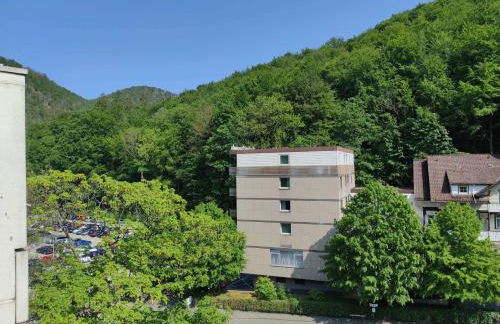 Ferienwohnung HarzHome - Foto 4