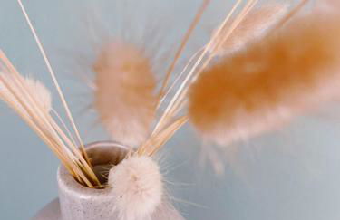 Erholen im Tiny House am Waldrand - Foto 13