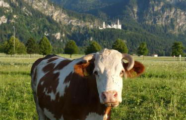 Loft “Samuel” - Foto 14