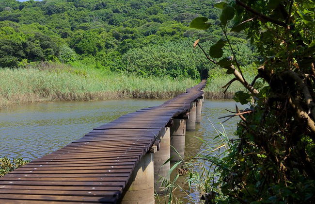 Umhlanga Cabanas - Photo 33