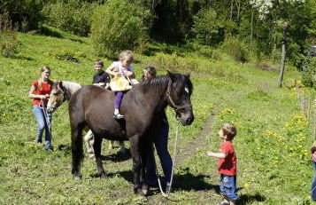 Ferienwohnung Erzhütte - Foto 9