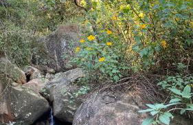 Chalé Laranja - Sítio Caldeirão - Foto 29