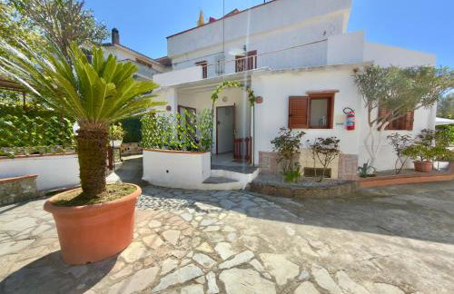 Villa Maica - Photo 14