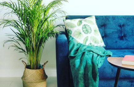 Apartament MONSTERA - Foto 6