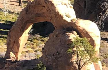 Cedar Canyon Condos - Foto 44