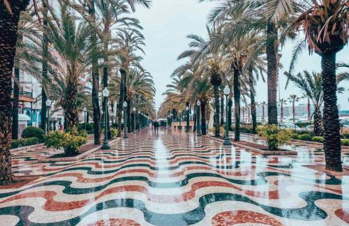 Loft Entero Centro Alicante - Photo 17