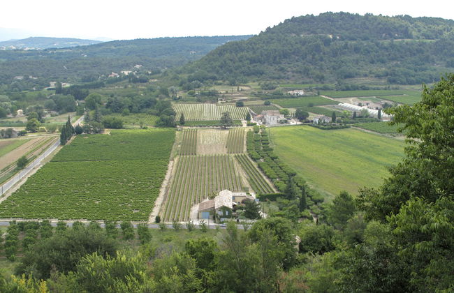 Les Vignes - Foto 21