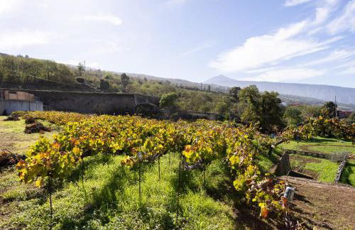 EK Drago Finca el Milagro - Foto 40