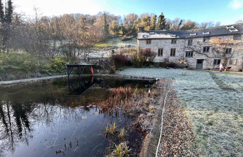 Idyllic country house & organic swim pond - Photo 49