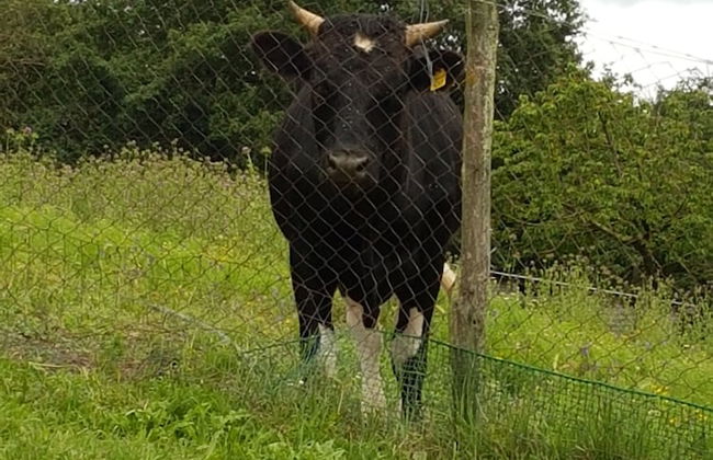 Agriturismo Cisogna - Foto 23