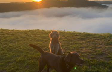 Ferienwohnung Apolo - Foto 18