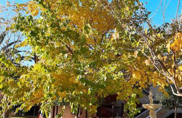 VILLA AFRICA - Foto 15