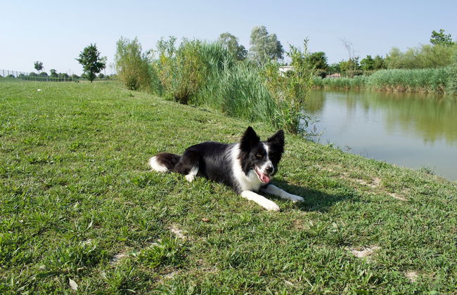 Appartamento Ca' Silis n. 7 - Foto 36