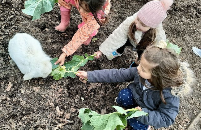 Casa das Palmeiras - Pedagogic Farm - Foto 113