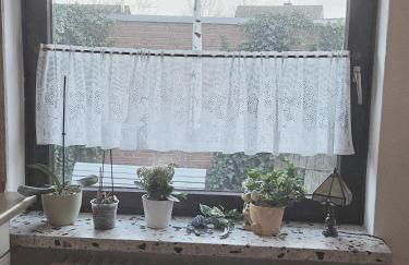 Appartement Kanew - Foto 11