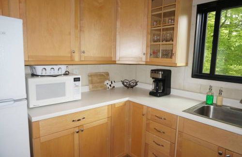 6BD 3BA - Mount Snow VT - Ski-Back Trail - Shuttle - Foto 26