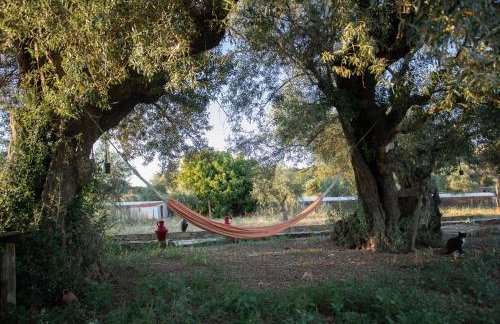 Herdade da Yucca - Retreat & Spa - Foto 47