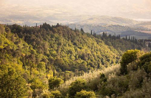 Residence Casa Lama - Foto 11