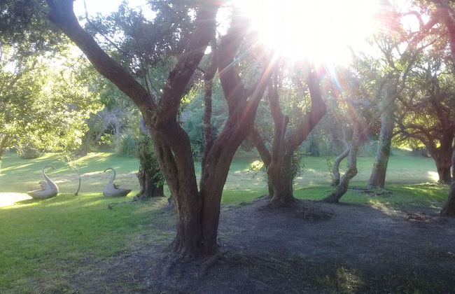 Casa Quinta en Pueblo de Campo. - Foto 21