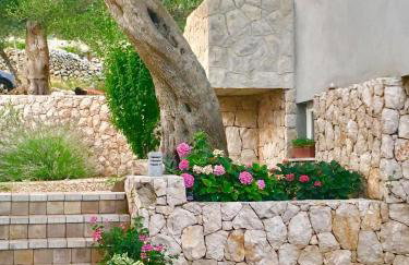 Apartments Suzana - Foto 19