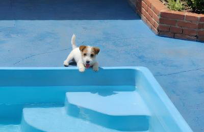 Itaipuaçu-Maricá-Suíte com cozinha completa - Foto 1