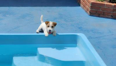Itaipuaçu-Maricá-Suíte com cozinha completa - Foto 1
