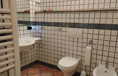 Il Gallo d' Oro - Oca - Foto 15