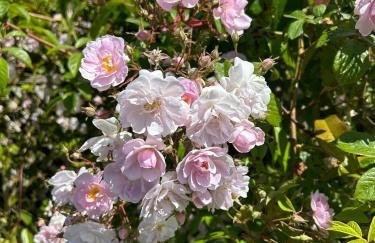 Luxury Farmhouse Retreat with Private Hot Tub & EV - Foto 27