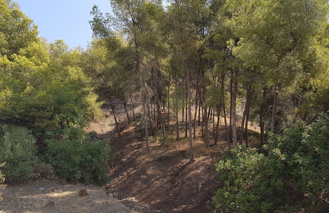 TocToc Victoria Studio Solarium - Foto 22