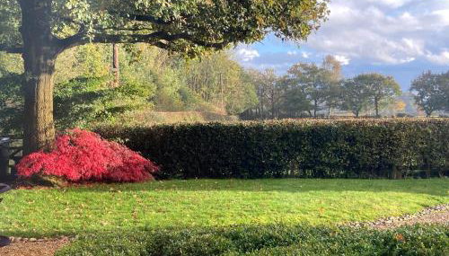 Charming 2-bed Cottage, Beautiful Views, Knutsford - Foto 3