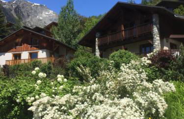 Le petit Saint Bernard - Photo 24