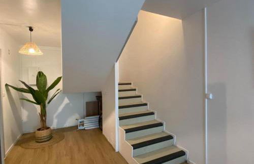 Location appartement meublé 1 pièce - Foto 2